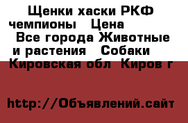 Щенки хаски РКФ чемпионы › Цена ­ 90 000 - Все города Животные и растения » Собаки   . Кировская обл.,Киров г.